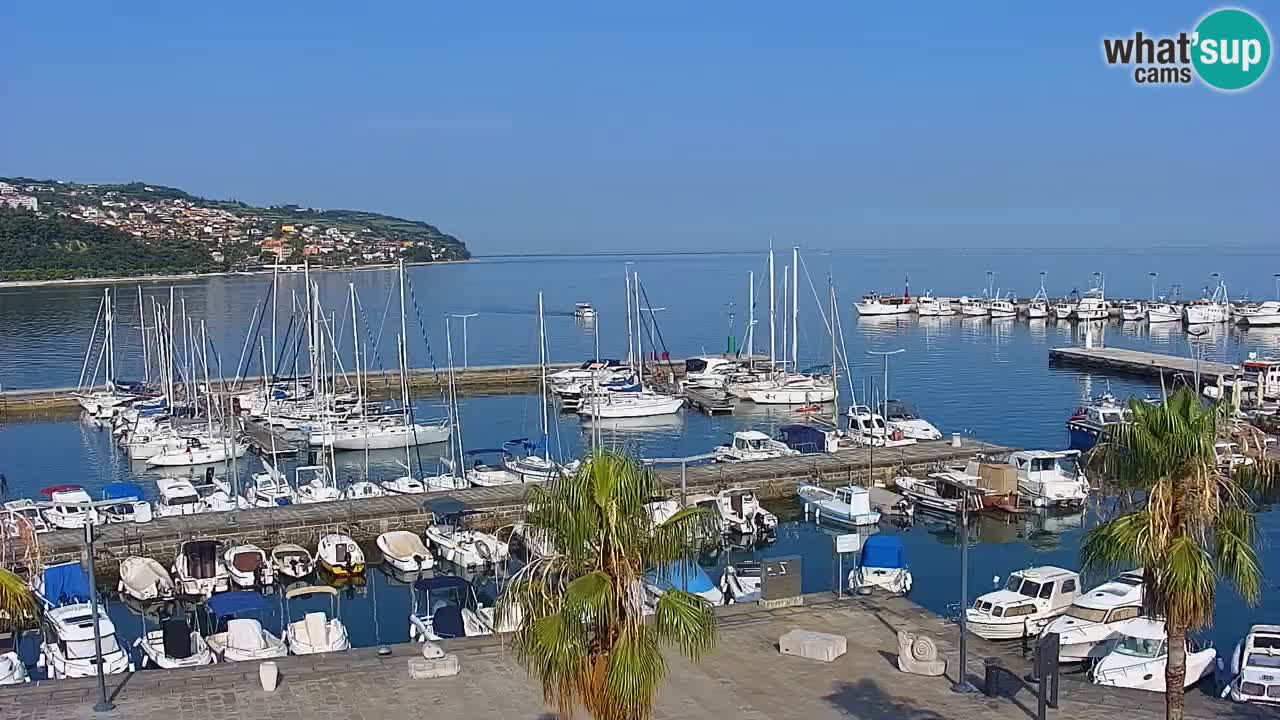 Spletna kamera Koper – Panorama na marino in promenado s Hotela Grand Koper
