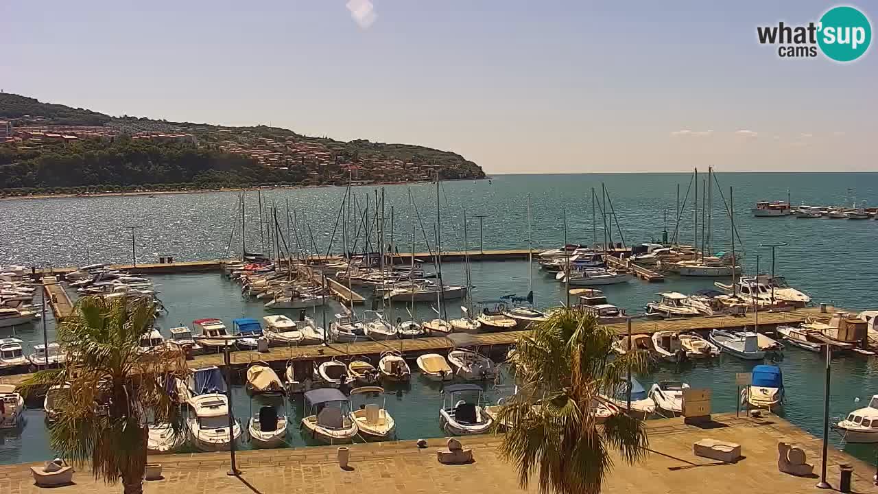 Web kamera Koper – marina i promenada – hotel Grand Koper