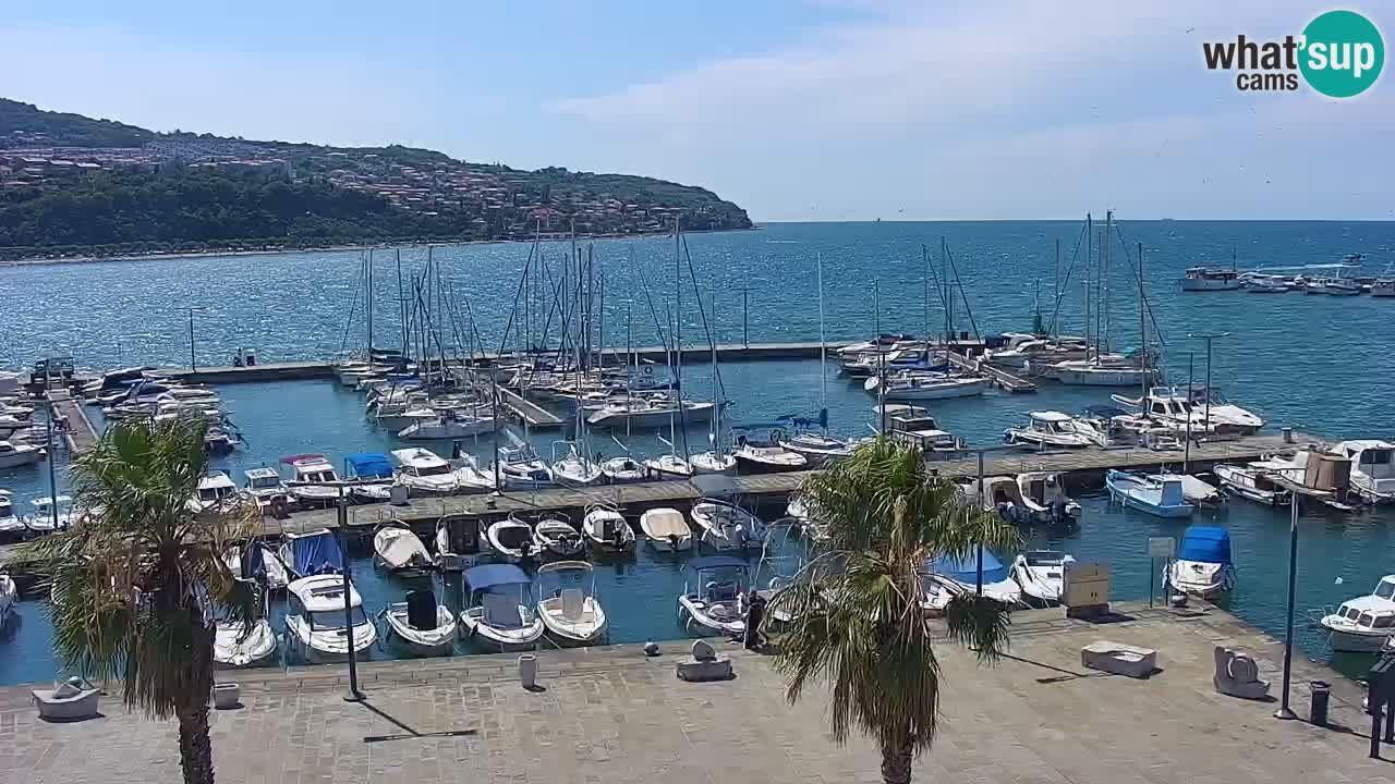 Webcam Koper – Panorama des Jachthafens und der Promenade vom Hotel Grand Koper