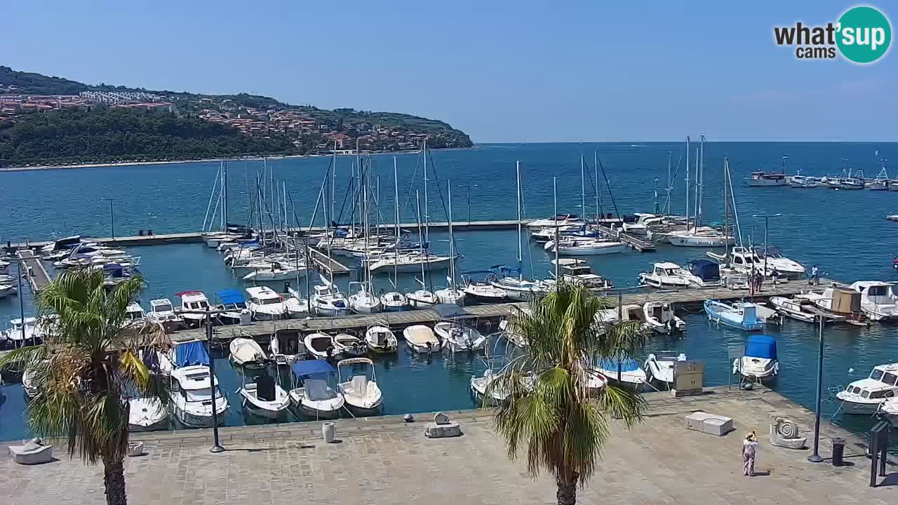 Webcam Koper – Panorama des Jachthafens und der Promenade vom Hotel Grand Koper