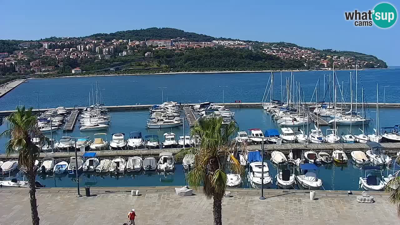 Webcam Koper – Panorama des Jachthafens und der Promenade vom Hotel Grand Koper