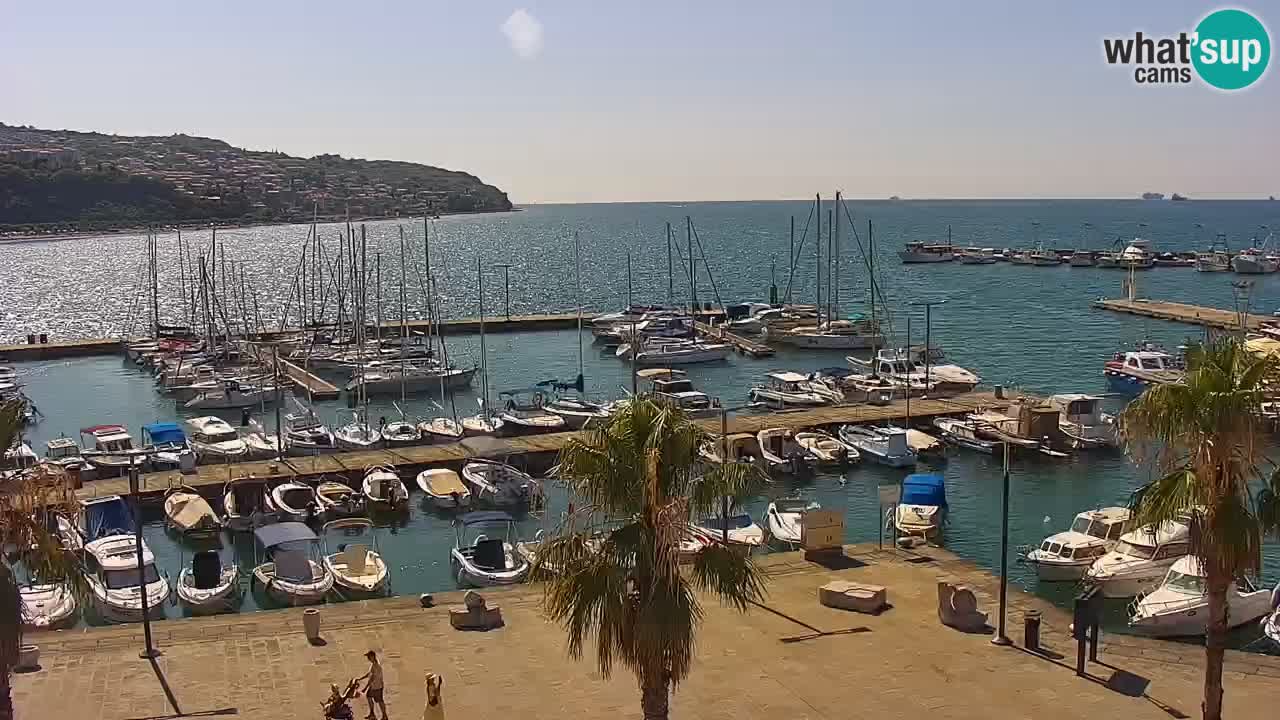 Webcam Capodistria – marina e lungo mare dall’Hotel Grand Koper