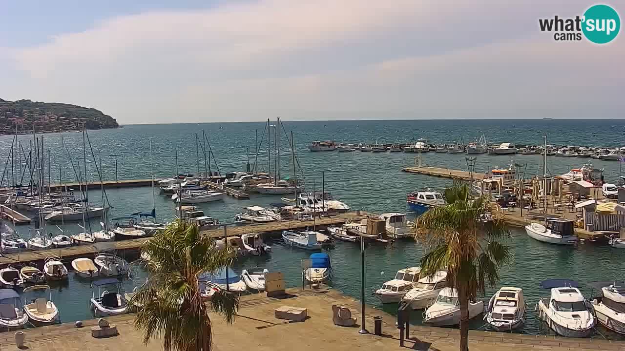 Webcam Koper – Panorama of the marina and promenade from the Grand Hotel Koper