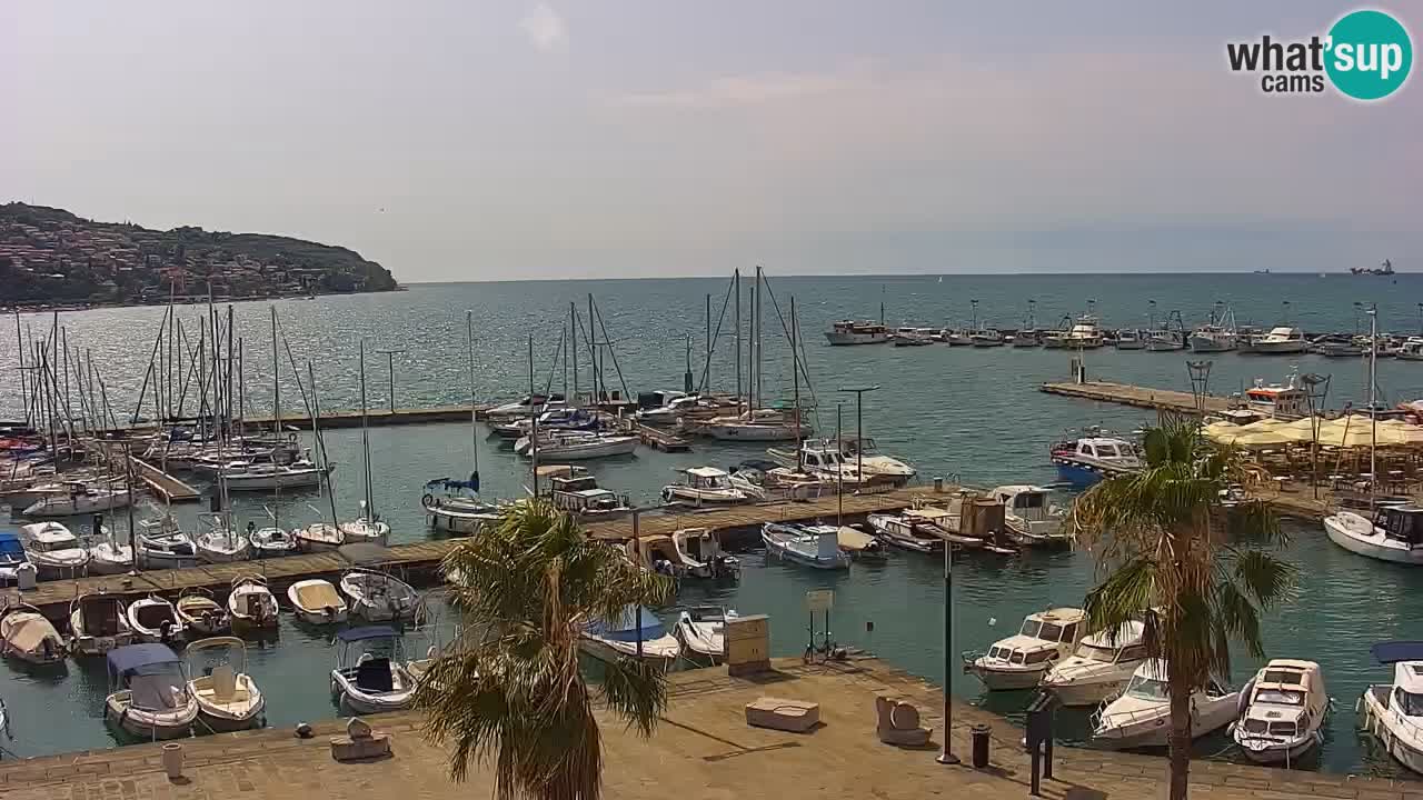 Der Hafen von Koper Live-Webcam – Kreuzfahrt- und Frachthafen – Slowenien