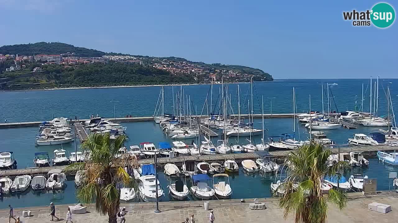 Webcam Capodistria – marina e lungo mare dall’Hotel Grand Koper