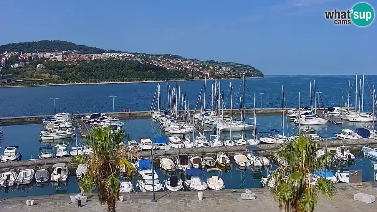 Webcam Koper – Panorama de la marina et de la promenade depuis le Grand Hotel Koper