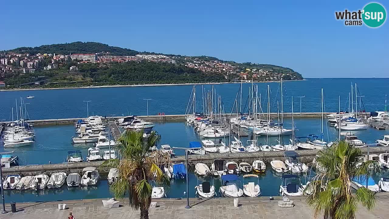 Webcam Koper – Panorama des Jachthafens und der Promenade vom Hotel Grand Koper