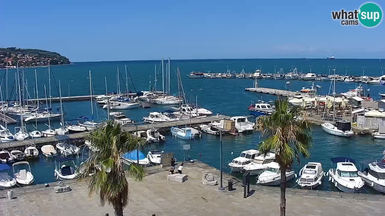 Webcam Capodistria – marina e lungo mare dall’Hotel Grand Koper