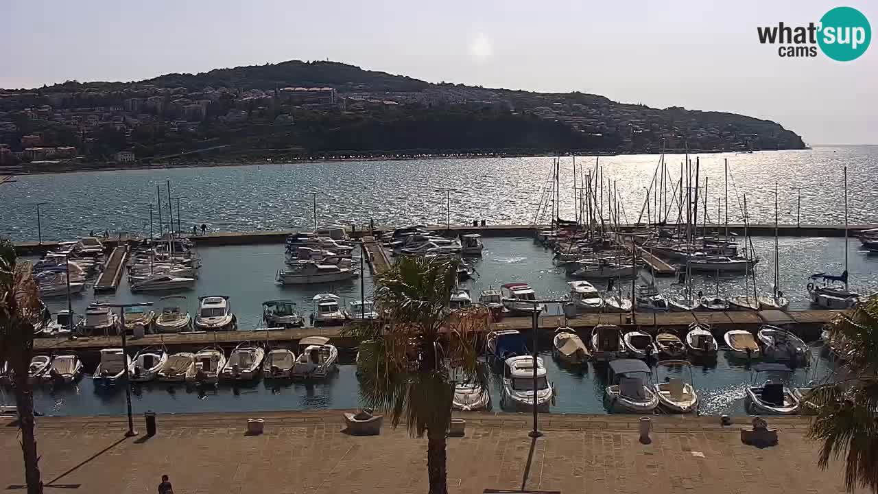 Camera en vivo Koper – puerto deportivo y paseo marítimo desde el Hotel Grand Koper