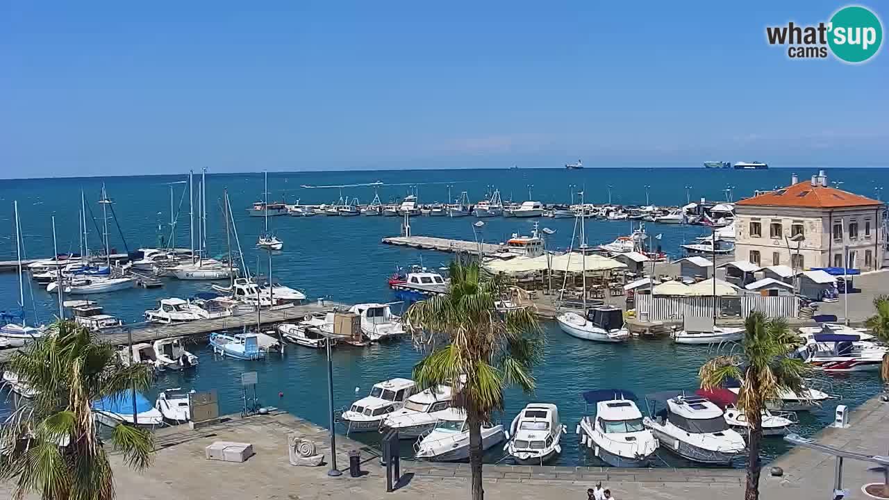 Webcam Koper – Panorama of the marina and promenade from the Grand Hotel Koper