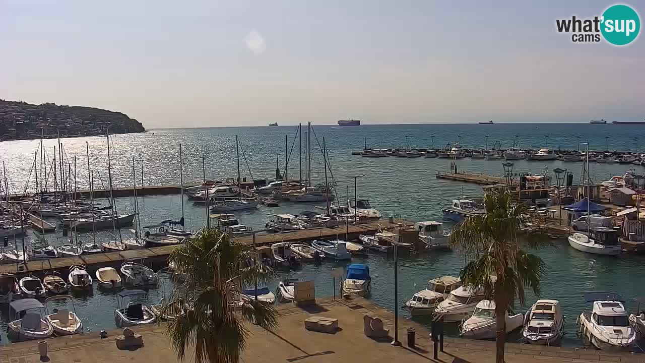Spletna kamera Koper – Panorama na marino in promenado s Hotela Grand Koper