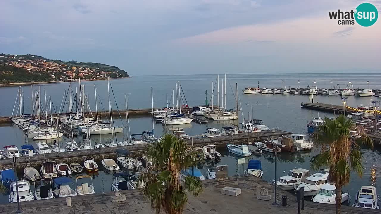 Webcam Koper – Panorama des Jachthafens und der Promenade vom Hotel Grand Koper