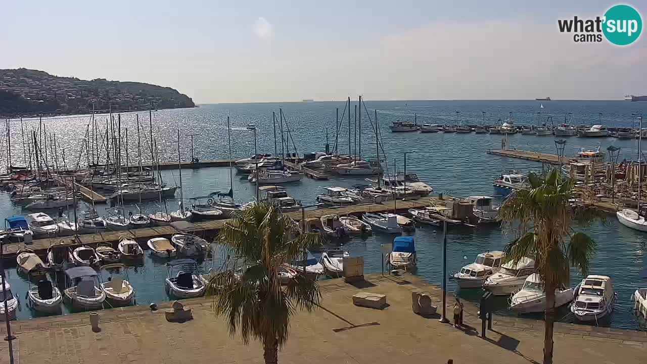 Webcam Koper – Panorama of the marina and promenade from the Grand Hotel Koper