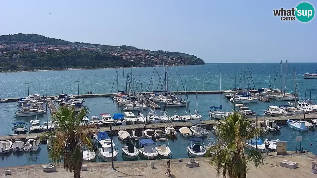 Webcam Capodistria – marina e lungo mare dall’Hotel Grand Koper