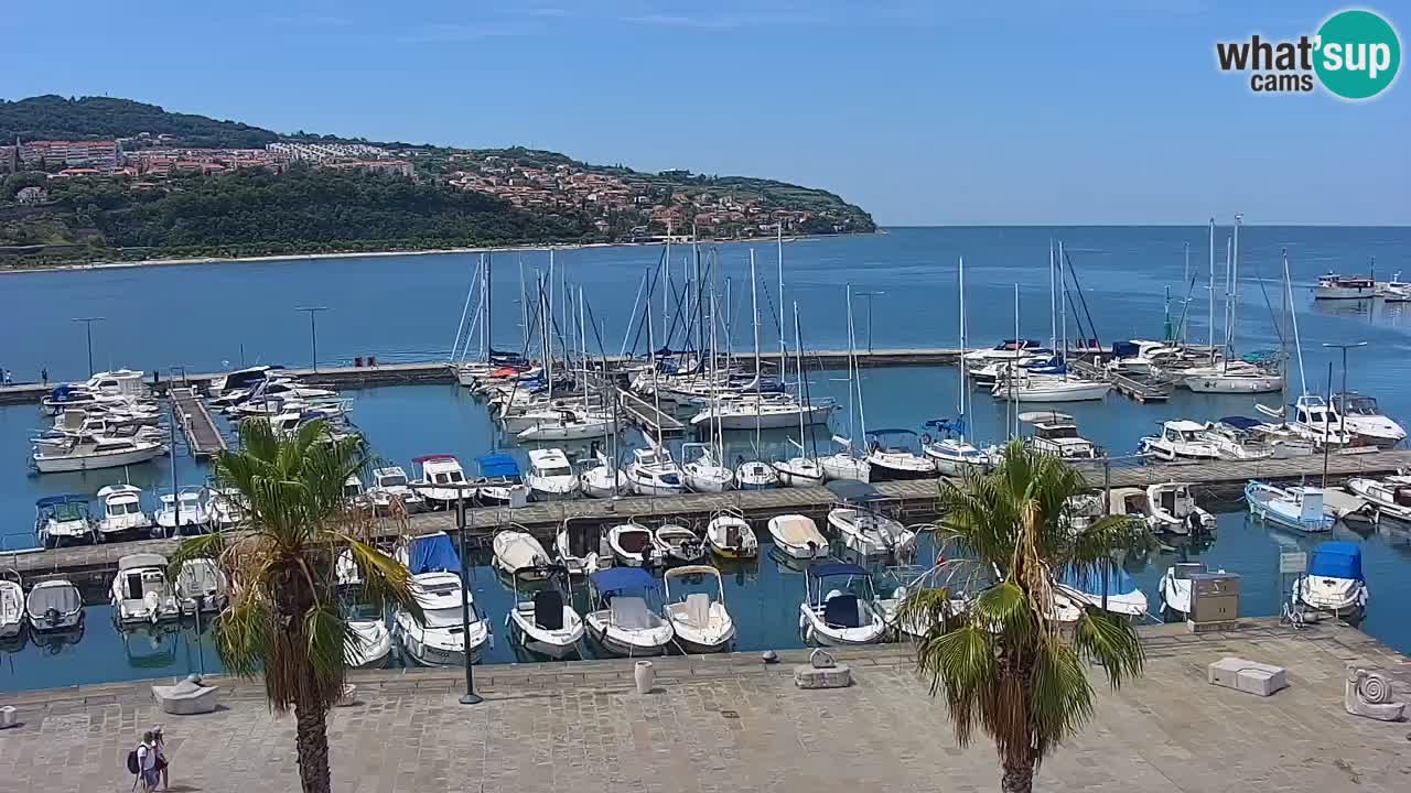 Webcam Koper – Panorama de la marina et de la promenade depuis le Grand Hotel Koper
