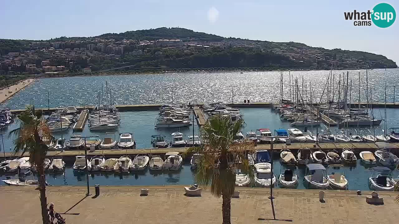 Webcam Koper – Panorama of the marina and promenade from the Grand Hotel Koper
