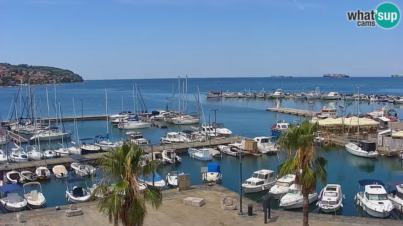 Webcam Koper – Panorama de la marina et de la promenade depuis le Grand Hotel Koper