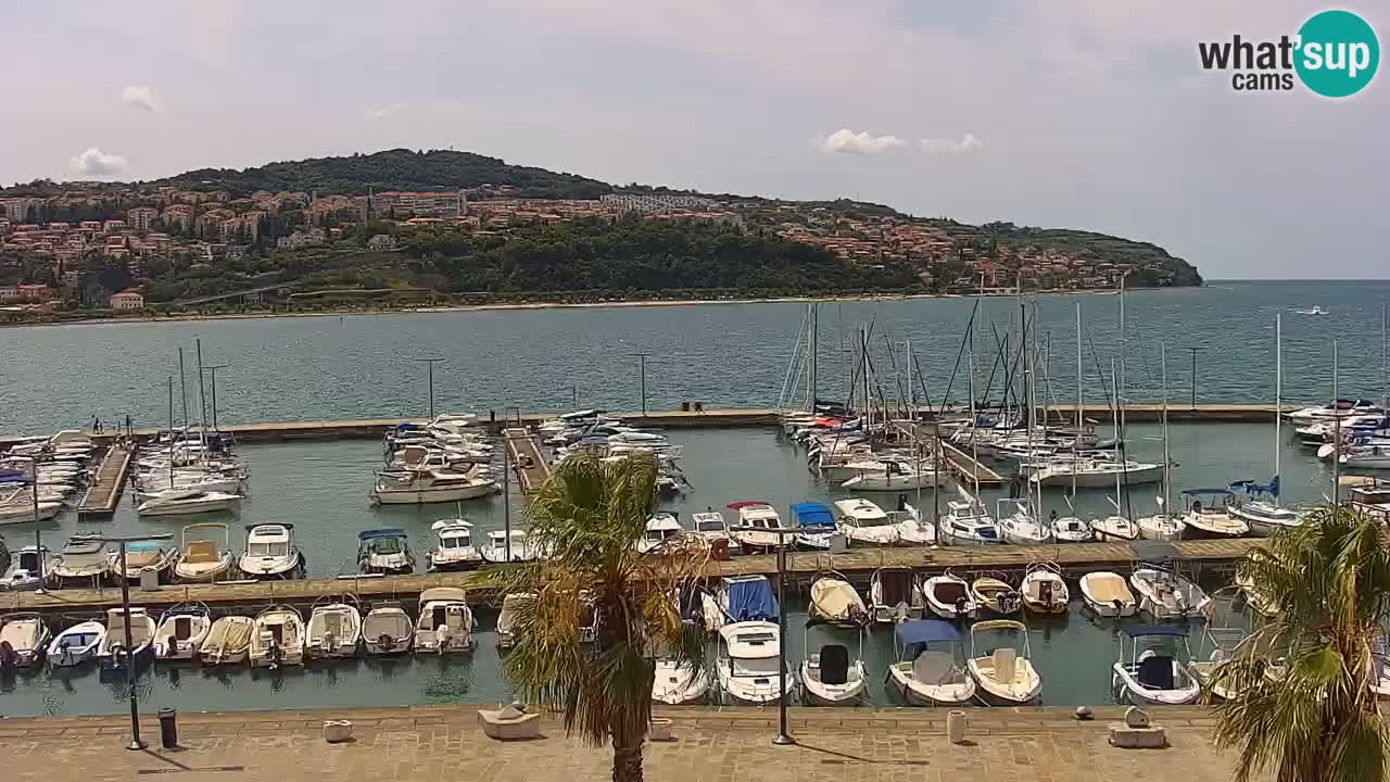 Webcam Koper – Panorama of the marina and promenade from the Grand Hotel Koper
