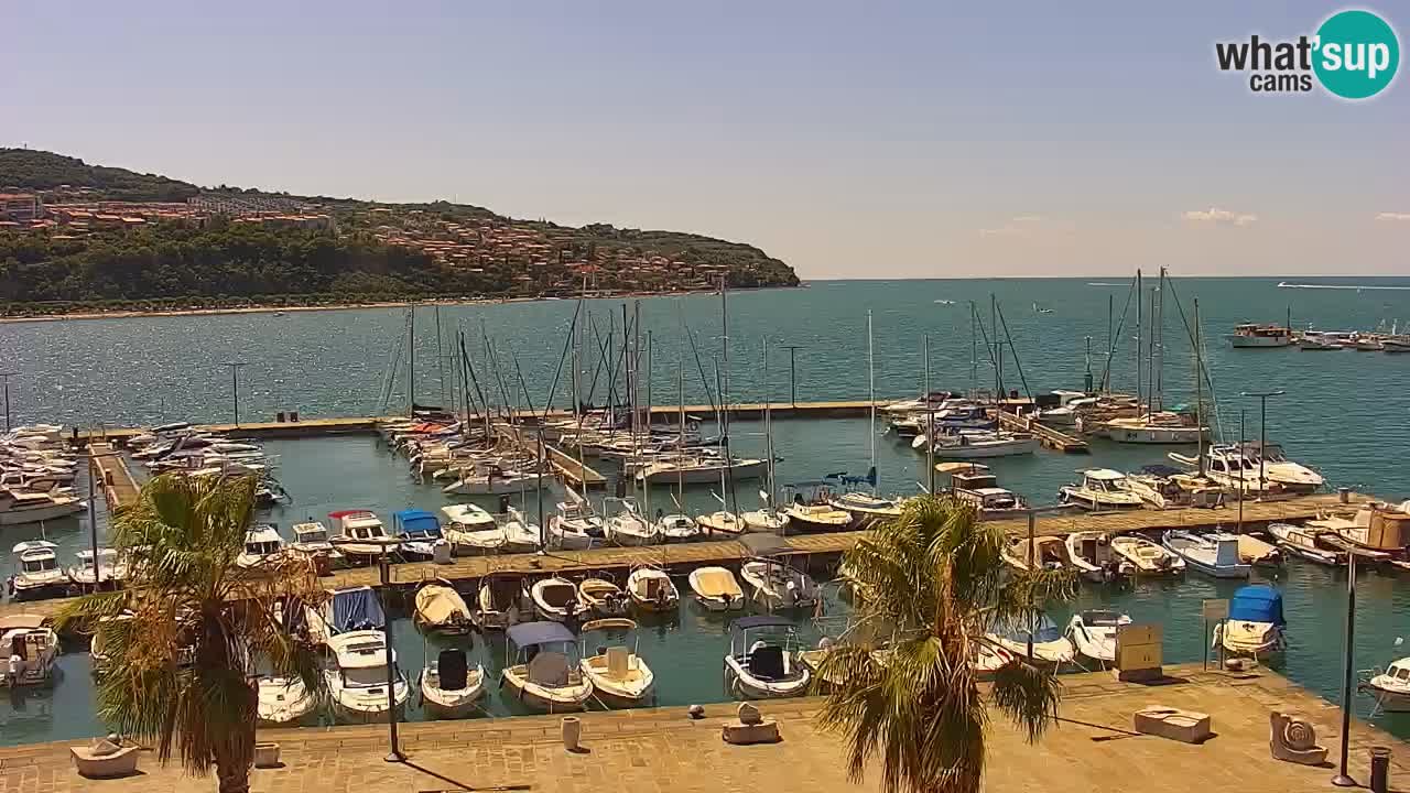 Web kamera Koper – marina i promenada – hotel Grand Koper