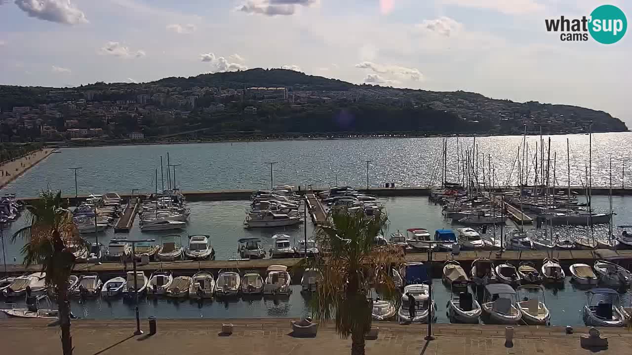 Webcam Koper – Panorama des Jachthafens und der Promenade vom Hotel Grand Koper