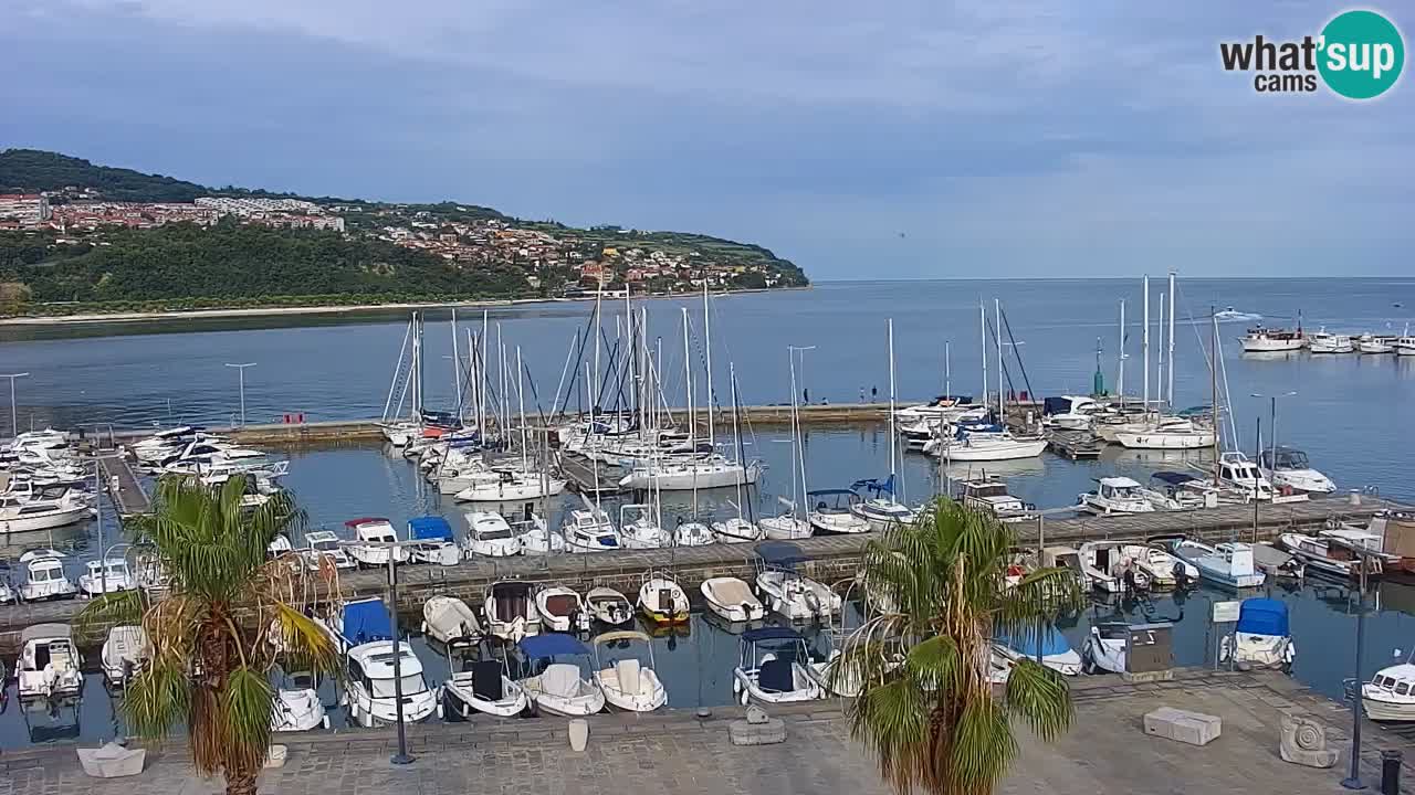 Webcam Koper – Panorama of the marina and promenade from the Grand Hotel Koper