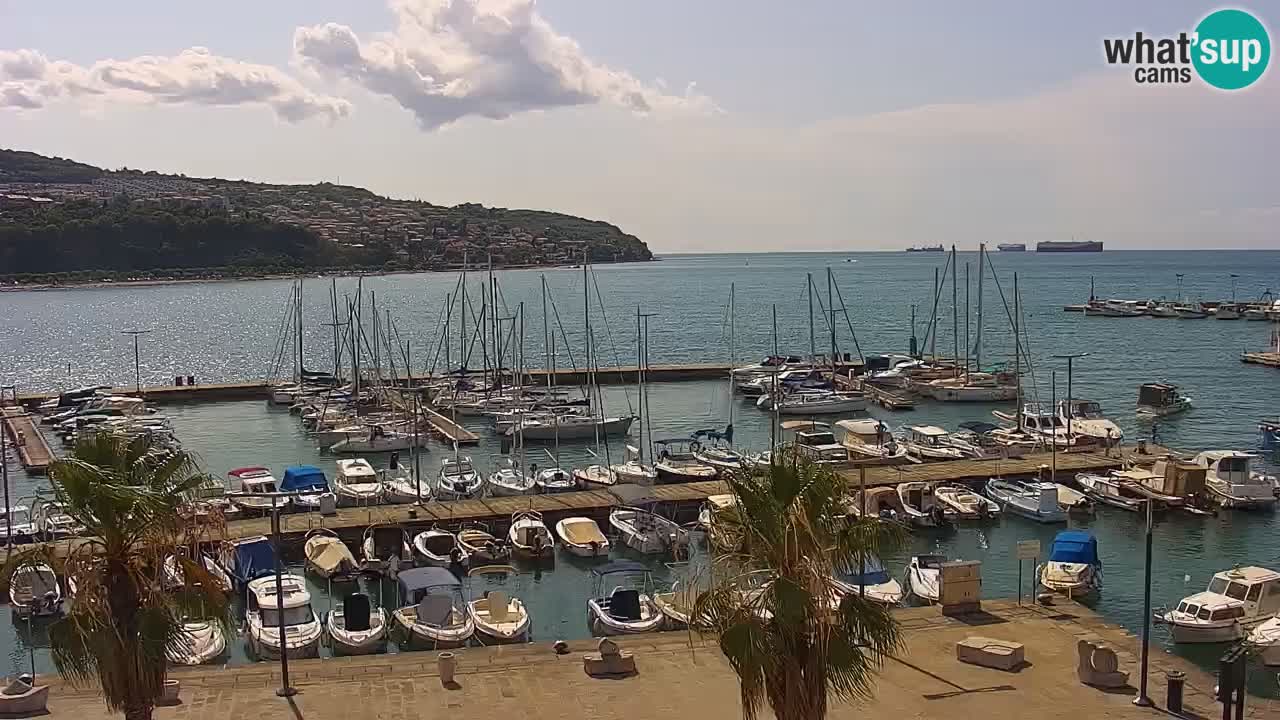 Webcam Koper – Panorama of the marina and promenade from the Grand Hotel Koper
