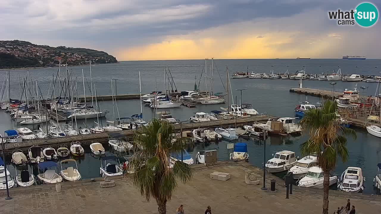 Web kamera Koper – marina i promenada – hotel Grand Koper