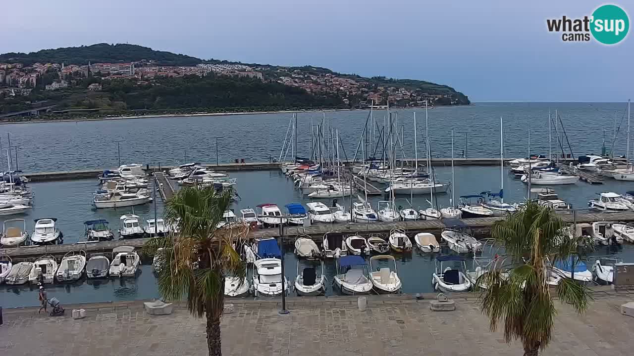 Luka Kopar uživo web kamera – Turistički terminal i teretna luka – Slovenija