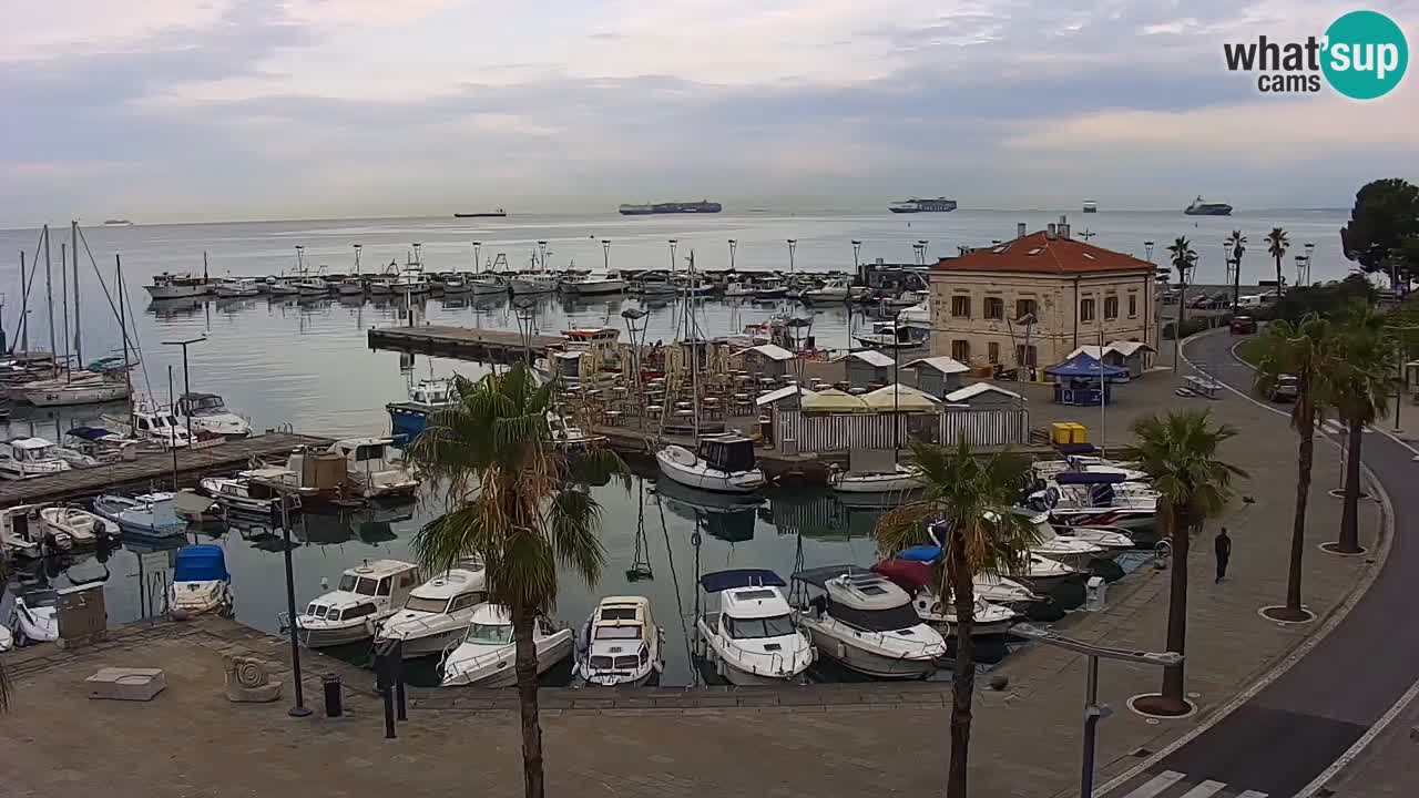 Luka Kopar uživo web kamera – Turistički terminal i teretna luka – Slovenija