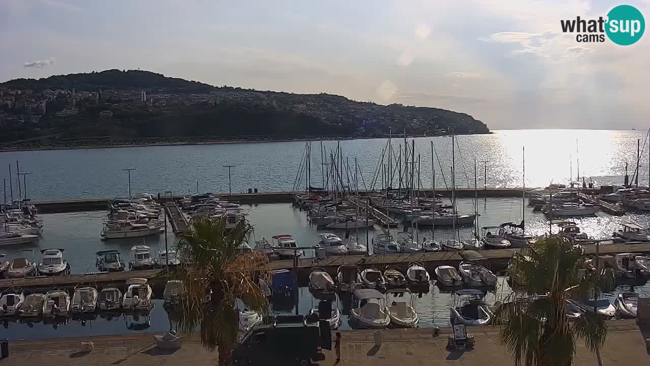 Webcam Koper – Panorama of the marina and promenade from the Grand Hotel Koper