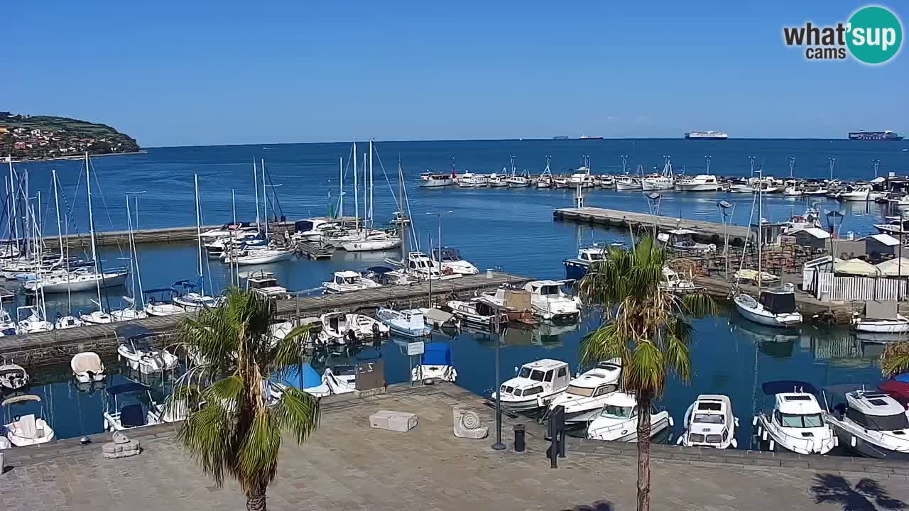 Webcam Capodistria – marina e lungo mare dall’Hotel Grand Koper