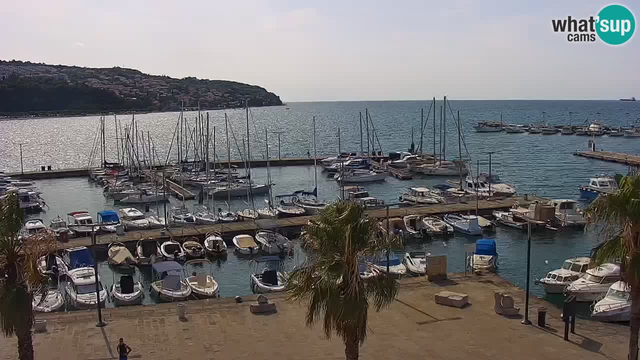 Webcam Capodistria – marina e lungo mare dall’Hotel Grand Koper