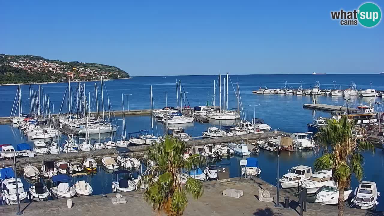 Webcam Capodistria – marina e lungo mare dall’Hotel Grand Koper
