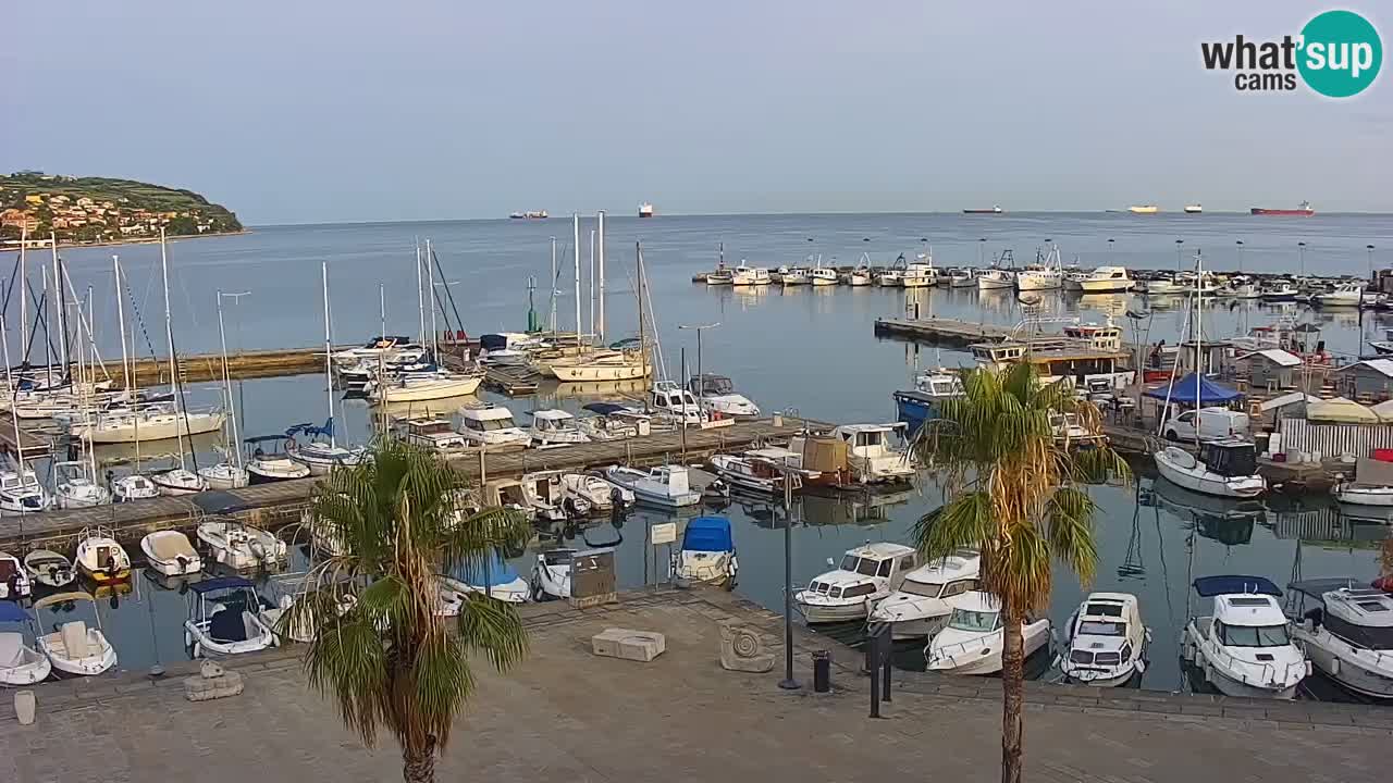 Camera en vivo Koper – puerto deportivo y paseo marítimo desde el Hotel Grand Koper