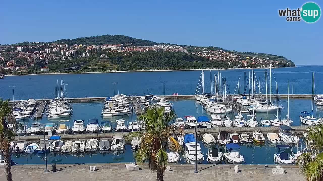 Camera en vivo Koper – puerto deportivo y paseo marítimo desde el Hotel Grand Koper
