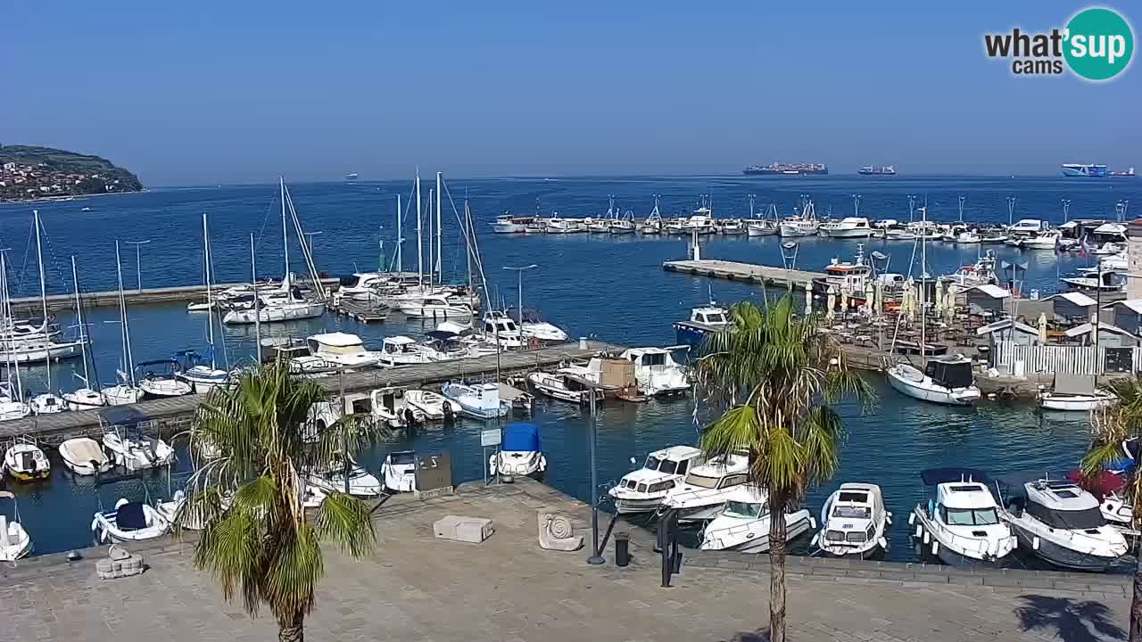Webcam Capodistria – marina e lungo mare dall’Hotel Grand Koper