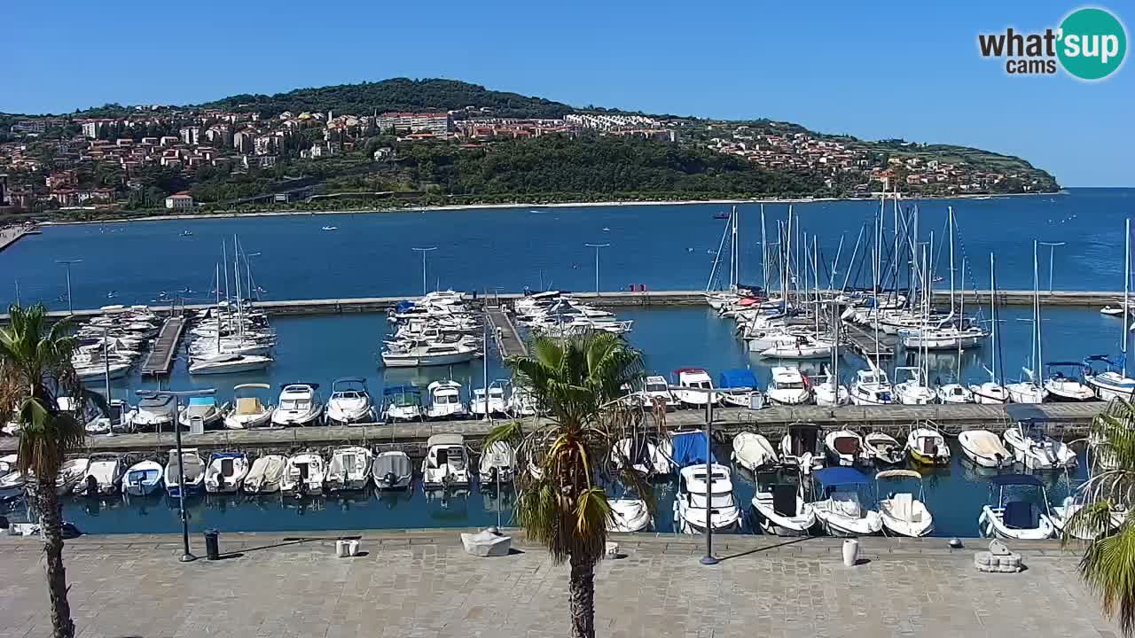 Webcam Koper – Panorama des Jachthafens und der Promenade vom Hotel Grand Koper