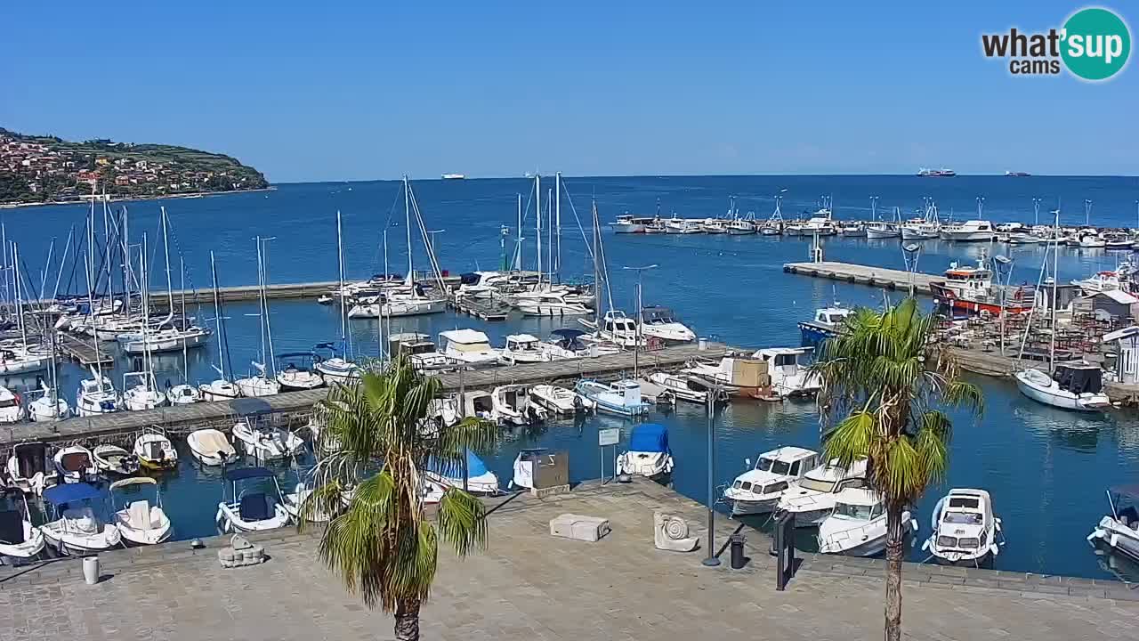 Webcam Koper – Panorama de la marina et de la promenade depuis le Grand Hotel Koper