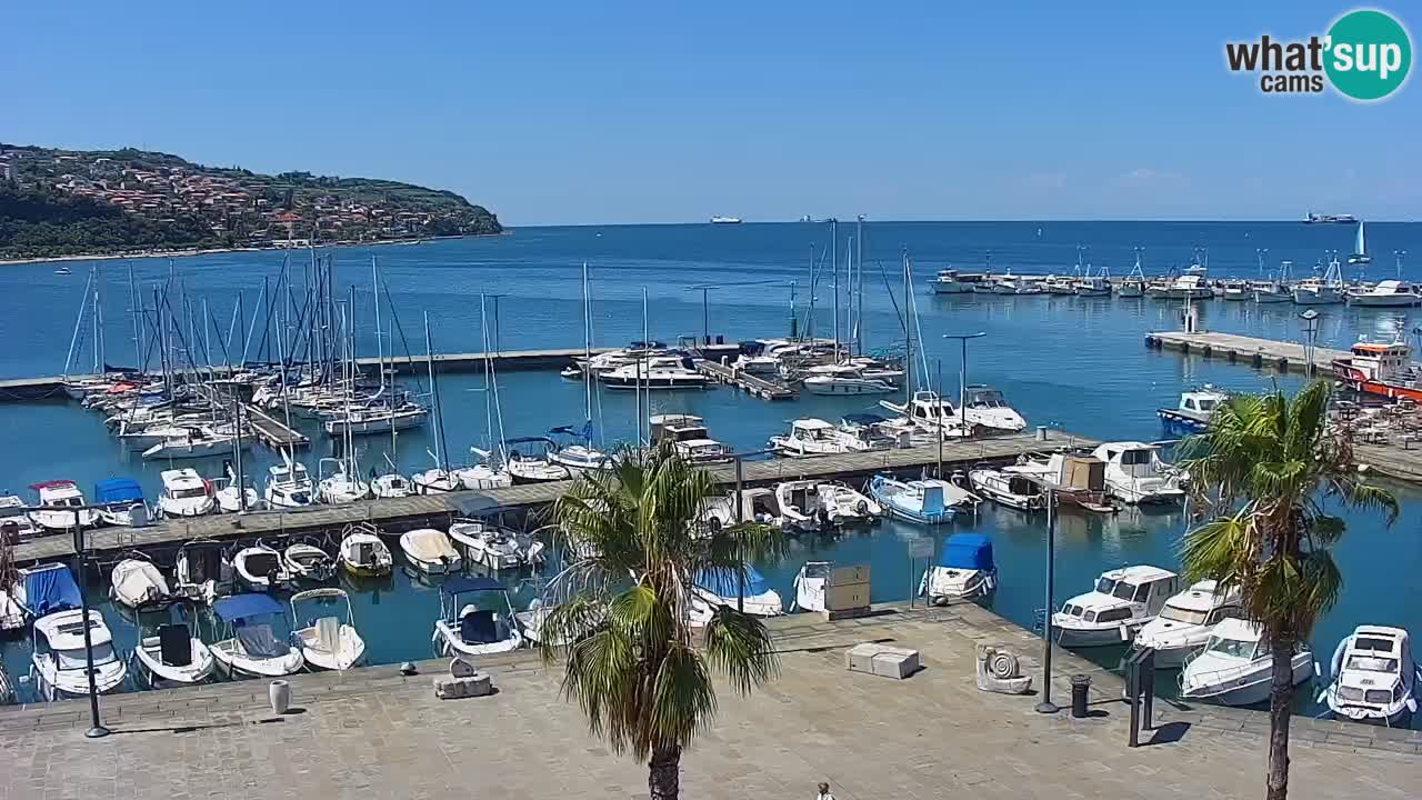 Il porto di Koper – Capodistria live webcam – porto crociere e mercantile – Slovenia