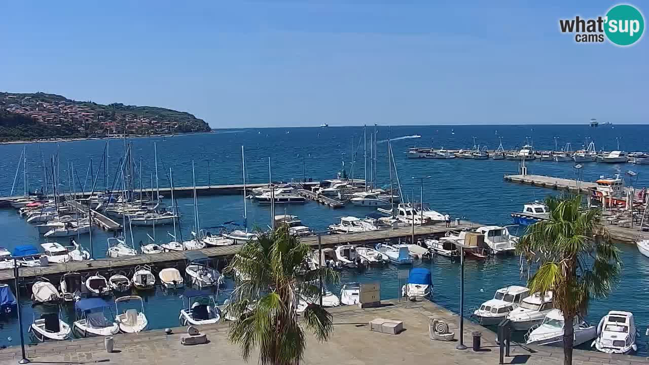 Webcam Koper – Panorama of the marina and promenade from the Grand Hotel Koper