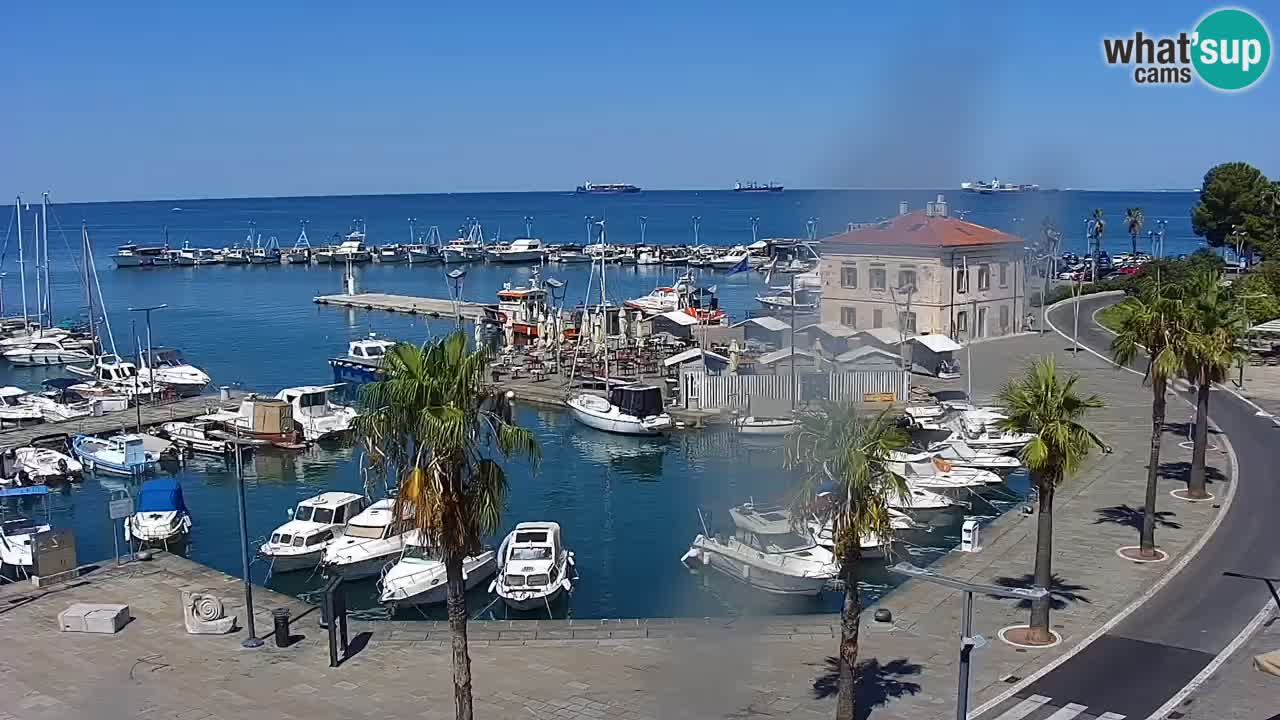 Camera en vivo Koper – puerto deportivo y paseo marítimo desde el Hotel Grand Koper