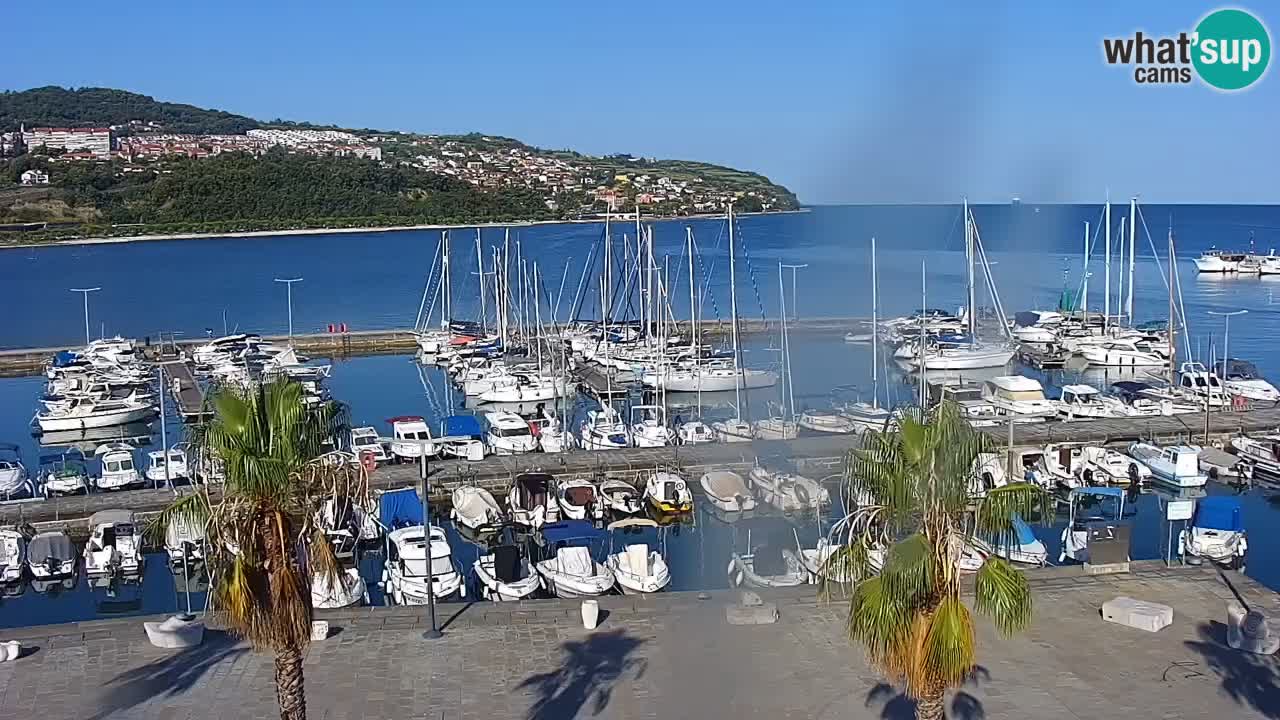 Webcam Koper – Panorama des Jachthafens und der Promenade vom Hotel Grand Koper