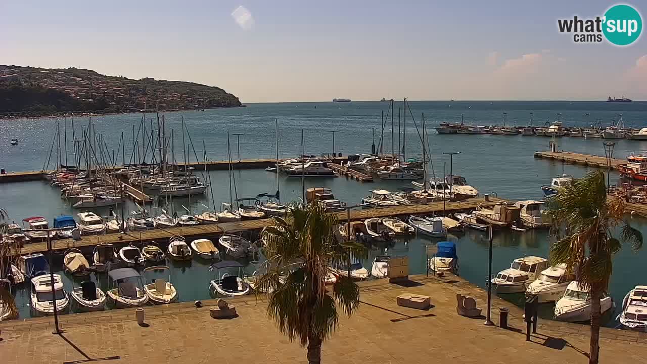 Webcam Koper – Panorama of the marina and promenade from the Grand Hotel Koper