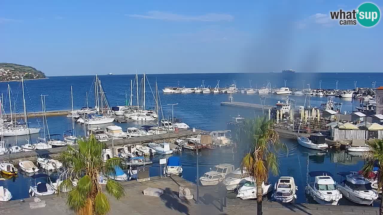 Camera en vivo Koper – puerto deportivo y paseo marítimo desde el Hotel Grand Koper