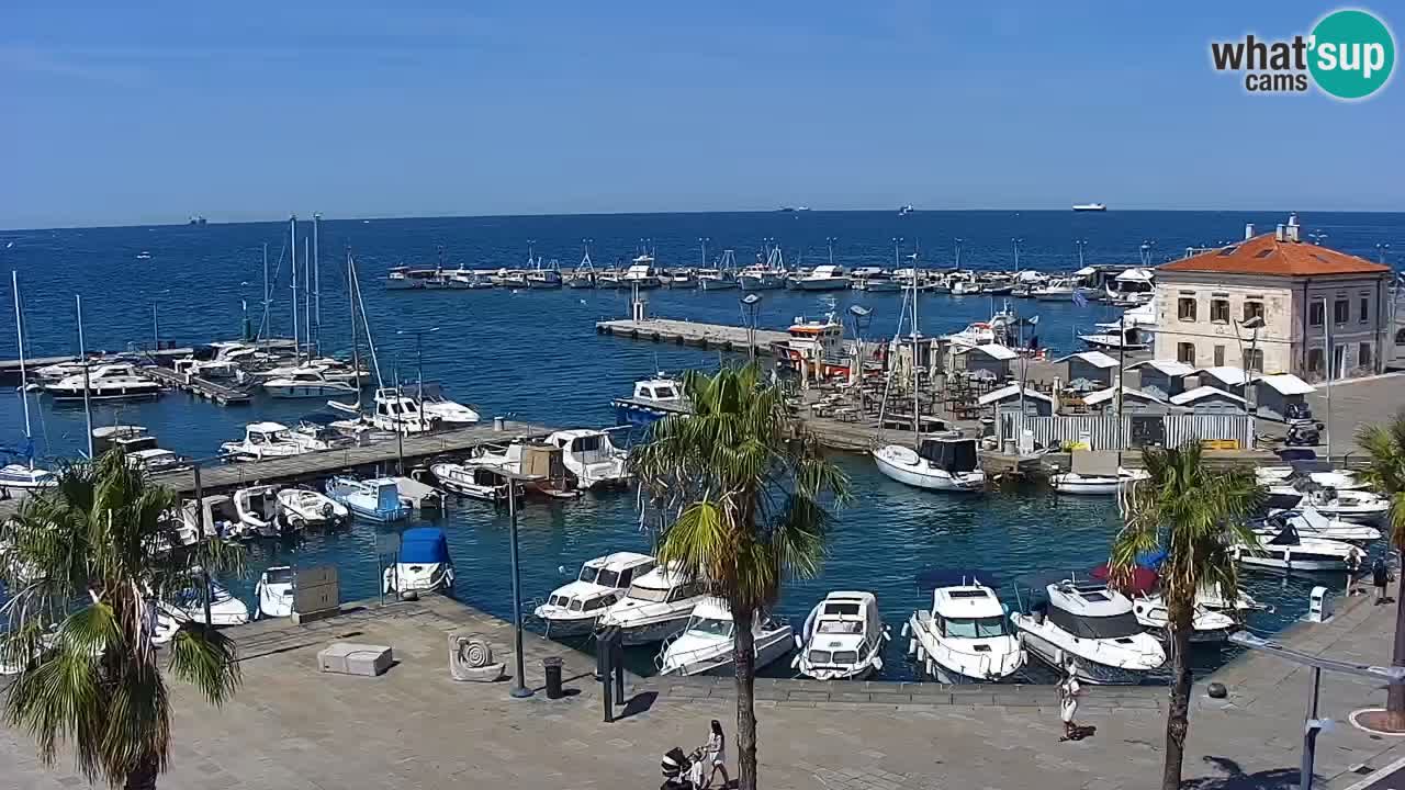 Web kamera Koper – marina i promenada – hotel Grand Koper