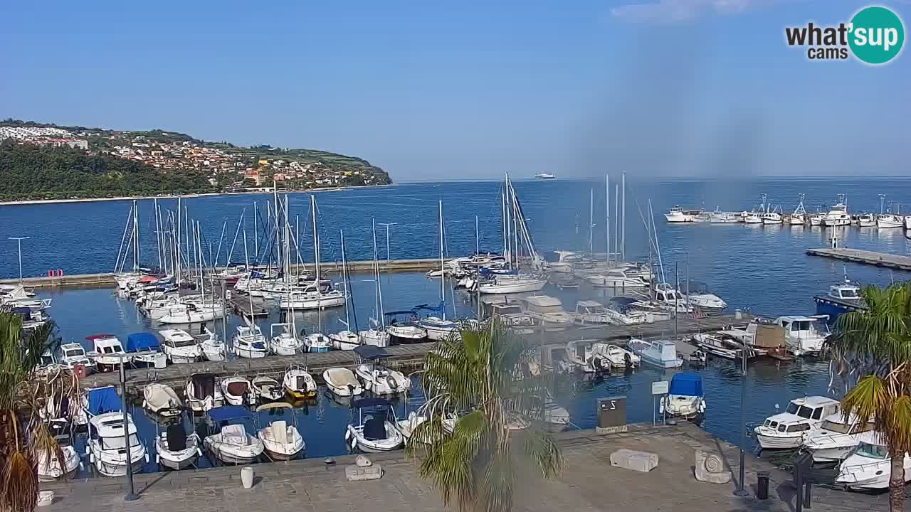 Webcam Koper – Panorama of the marina and promenade from the Grand Hotel Koper