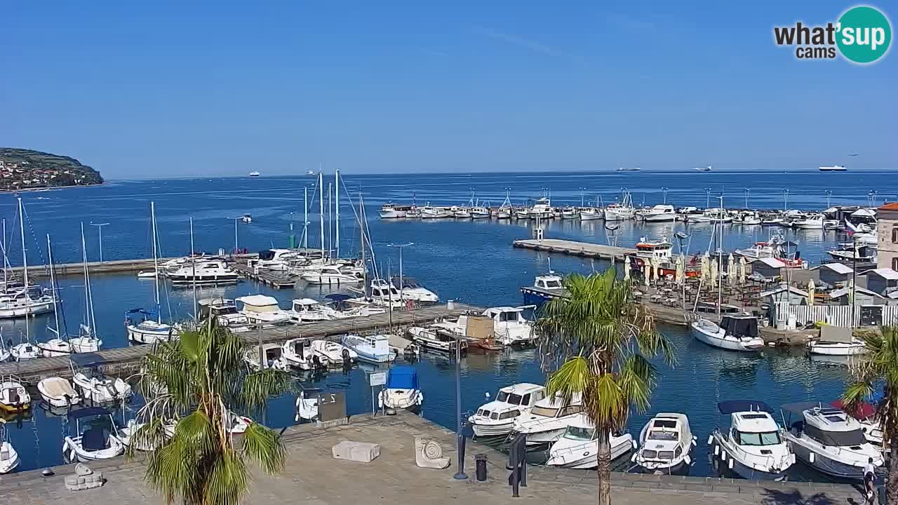 Webcam Koper – Panorama de la marina et de la promenade depuis le Grand Hotel Koper