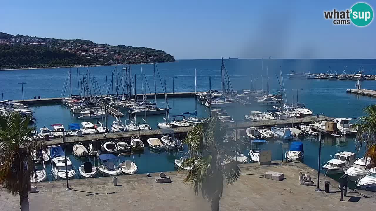 Webcam Koper – Panorama des Jachthafens und der Promenade vom Hotel Grand Koper