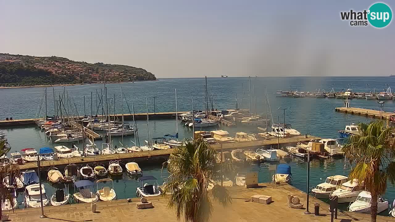 The Port of Koper live webcam – cruise and cargo port – Slovenia