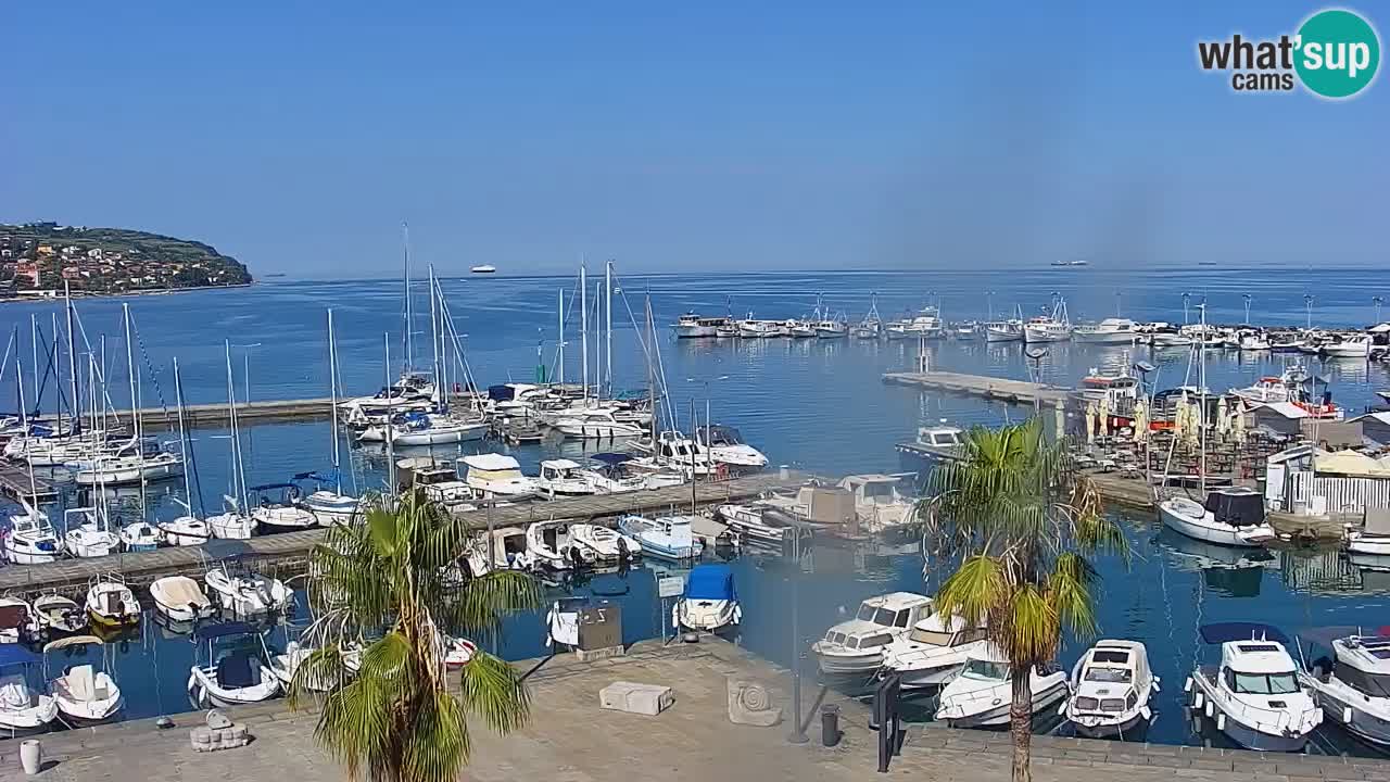 Web kamera Koper – marina i promenada – hotel Grand Koper